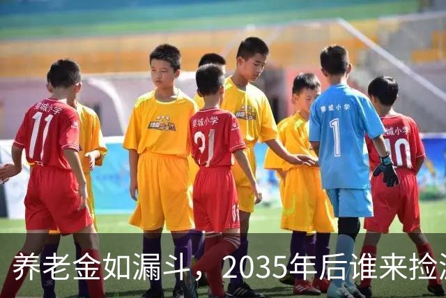 养老金如漏斗，2035年后谁来捡漏？