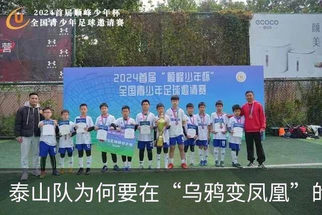 泰山队为何要在“乌鸦变凤凰”的路上加速招兵买马？